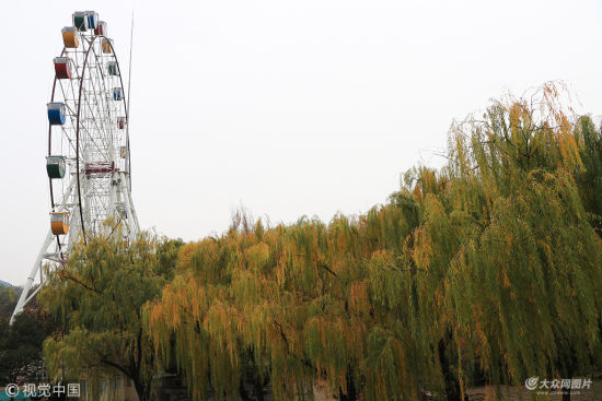 　2018年11月15日，济南，色彩艳丽的树木将泉城公园装点得分外美丽，市民漫步其中，宛如在画中游。
