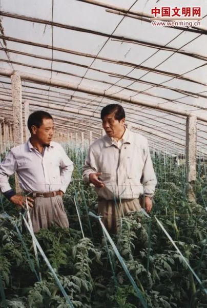 资料图：1991年，王伯祥(右)在蔬菜大棚。图片由潍坊文明网提供